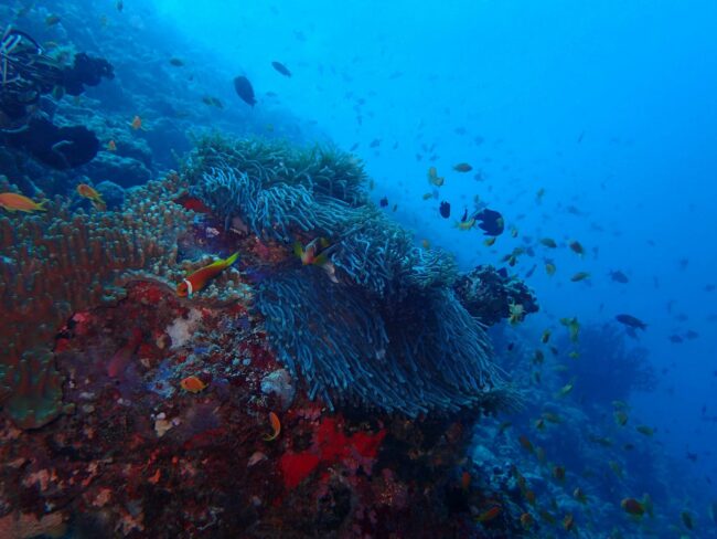 Tourism Update 24 Feb 2022 – Top Banner