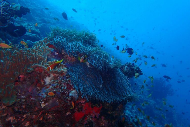 Tourism Update 24 Feb 2022 – Top Banner