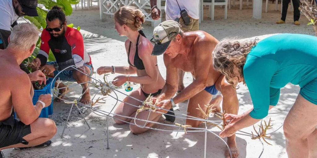 Environment Week at Canareef Resort Maldives shows dedication to nature in Maldives