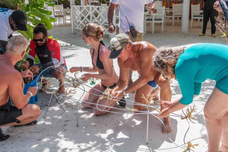 Environment Week at Canareef Resort Maldives shows dedication to nature in Maldives Environment Week at Canareef Resort Maldives shows dedication to nature in Maldives