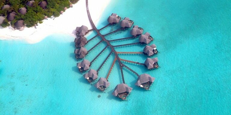 Coco Collection resort Coco Palm Dhuni Kolhu Maldives from above
