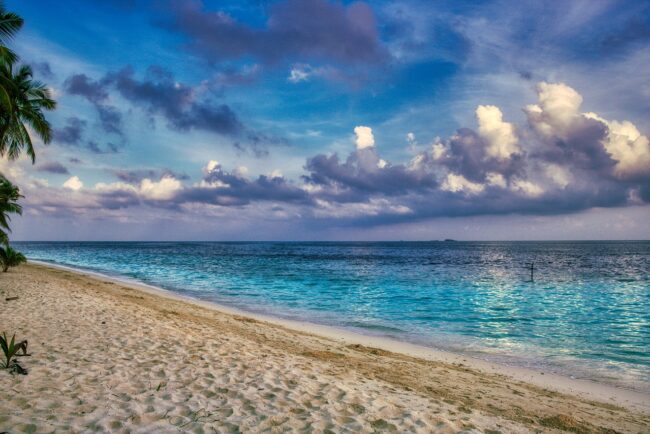 Explore Maldives Roadshow a resounding success in Bengaluru, India. Photo Credit: Jonny Belvedere via Pixabay Explore Maldives Roadshow a resounding success in Bengaluru, India. Photo Credit: Jonny Belvedere via Pixabay