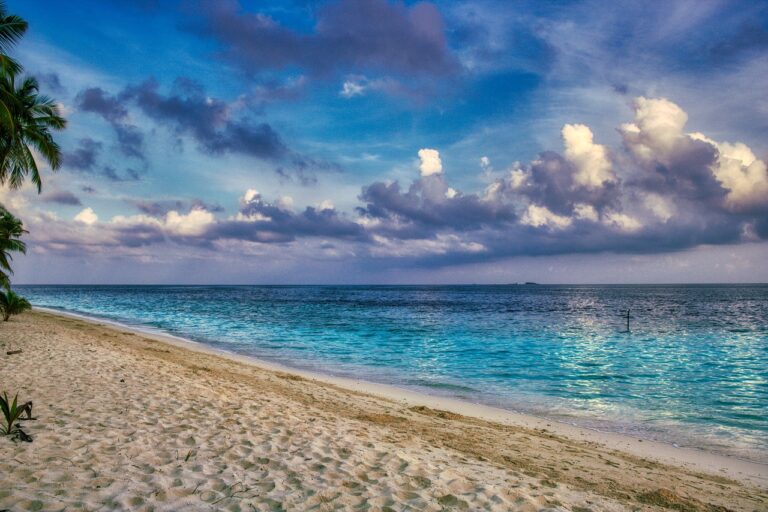 Explore Maldives Roadshow a resounding success in Bengaluru, India. Photo Credit: Jonny Belvedere via Pixabay Explore Maldives Roadshow a resounding success in Bengaluru, India. Photo Credit: Jonny Belvedere via Pixabay