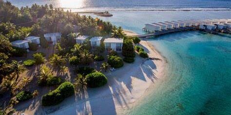 The Church set to play at Holiday Inn Resort Kandooma Maldives in 2025. Photo Credit: escapismmagazine.com via Google Images