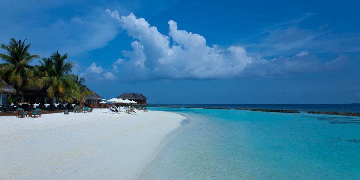 Nova Maldives’ Innovative Coral Nursery. Photo Credit: maldivesholidayoffers.com via Google Images Nova Maldives' Innovative Coral Nursery. Photo Credit: maldivesholidayoffers.com via Google Images