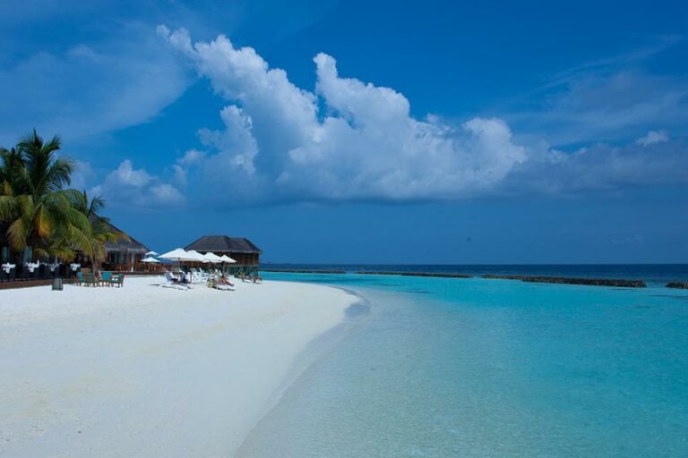 Nova Maldives’ Innovative Coral Nursery. Photo Credit: maldivesholidayoffers.com via Google Images Nova Maldives' Innovative Coral Nursery. Photo Credit: maldivesholidayoffers.com via Google Images