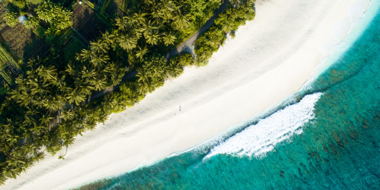 Training Resort in Maldives Advancing Tourism Development. Photo Credit: wirestock via Freepik Training Resort in Maldives Advancing Tourism Development. Photo Credit: wirestock via Freepik