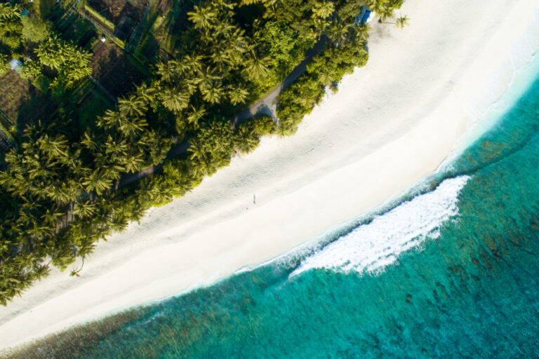 Training Resort in Maldives Advancing Tourism Development. Photo Credit: wirestock via Freepik Training Resort in Maldives Advancing Tourism Development. Photo Credit: wirestock via Freepik