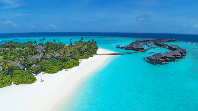 Coral Restoration Project Launched by Sun Siyam Iru Fushi. Photo Credit: maldives-magazine.com via Google Images Coral Restoration Project Launched by Sun Siyam Iru Fushi. Photo Credit: maldives-magazine.com via Google Images