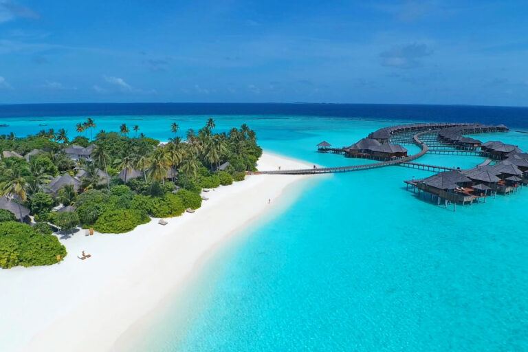 Coral Restoration Project Launched by Sun Siyam Iru Fushi. Photo Credit: maldives-magazine.com via Google Images Coral Restoration Project Launched by Sun Siyam Iru Fushi. Photo Credit: maldives-magazine.com via Google Images