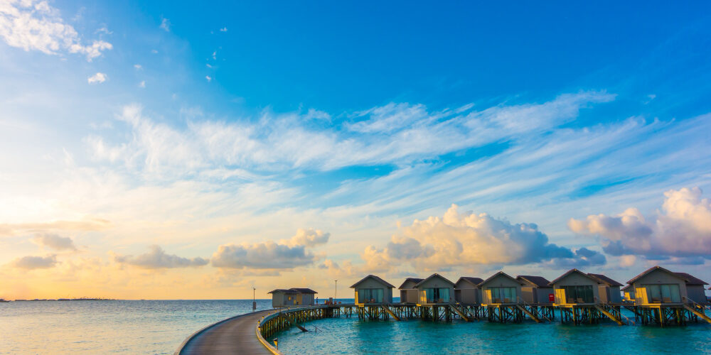 MIC Group Updates Grooming Policy to Latest Trends & Standards. Photo Credit: jannoon028 via Freepik MIC Group Updates Grooming Policy to Latest Trends & Standards. Photo Credit: jannoon028 via Freepik