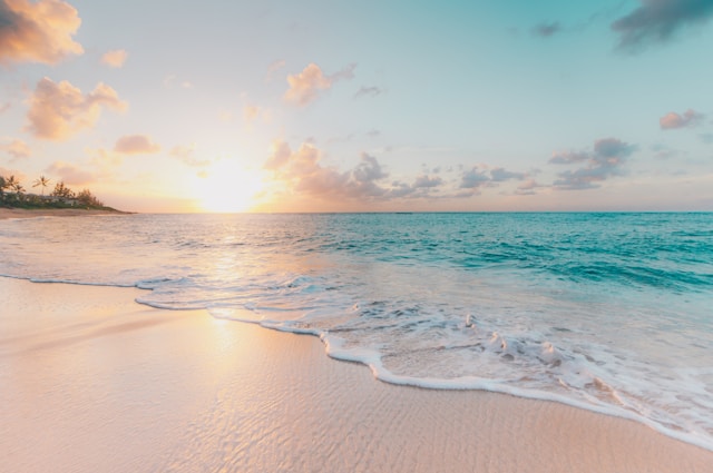Oscar Nominees to Receive Vacation to Maldives. Photo Credit: Sean Oulashin via Unsplash Oscar Nominees to Receive Vacation to Maldives. Photo Credit: Sean Oulashin via Unsplash